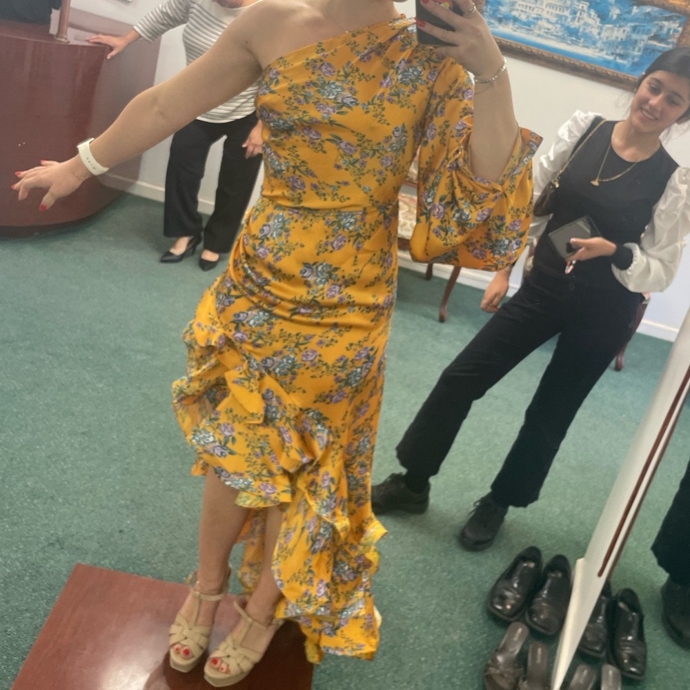 Bronx & Banco Hanna gown size 2 - Picture 2 of 6
